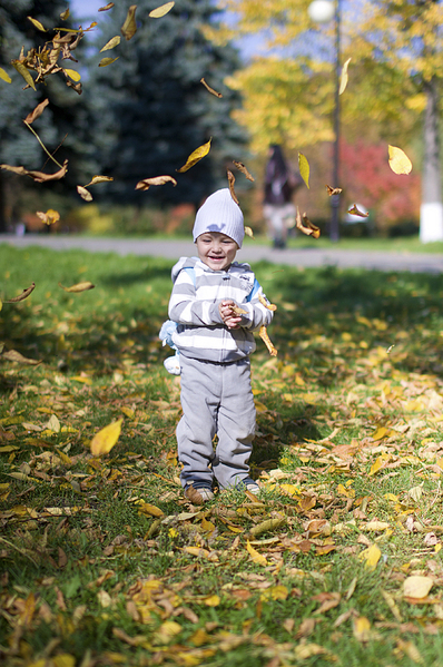 click for enlarge 664 X 1000 625.9 Kb picture