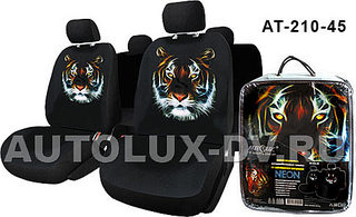 click for enlarge 510 X 311 35.3 Kb picture