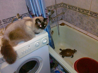 click for enlarge 1920 X 1440 760.5 Kb picture