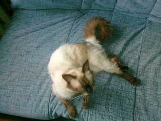 click for enlarge 1920 X 1440 856.3 Kb picture