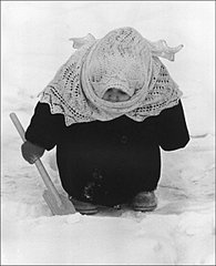 click for enlarge 520 X 640 44.5 Kb picture