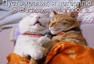 click for enlarge 600 X 411 51.0 Kb picture
