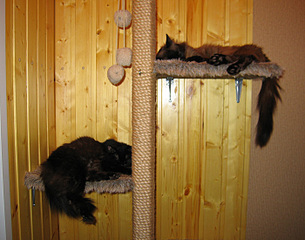 click for enlarge 700 X 550 143.7 Kb picture
