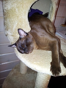 click for enlarge 600 X 800 233.5 Kb picture