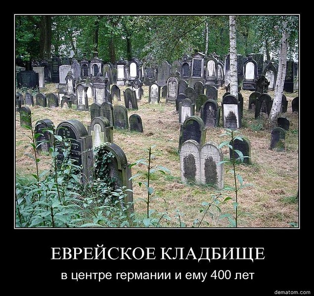 click for enlarge 800 X 755 214.1 Kb picture