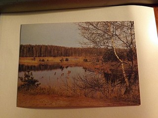 click for enlarge 600 X 450  64.7 Kb picture