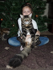 click for enlarge 600 X 800 225.9 Kb picture