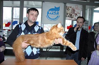 click for enlarge 1024 X 682 108.2 Kb picture