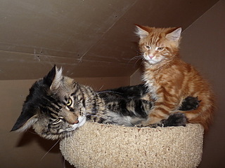 click for enlarge 800 X 600 169.9 Kb picture