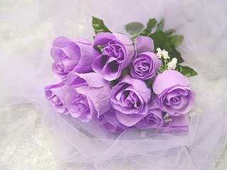 click for enlarge 550 X 413  39.9 Kb picture