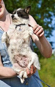click for enlarge 652 X 1024 416.2 Kb picture