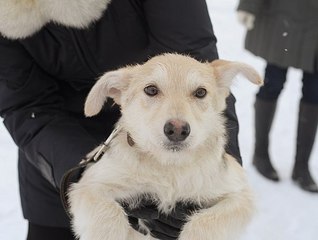 click for enlarge 604 X 455 36.3 Kb picture