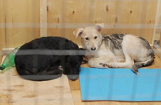 click for enlarge 604 X 394 39.9 Kb picture