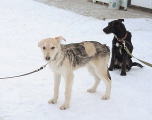 click for enlarge 604 X 478 39.8 Kb picture