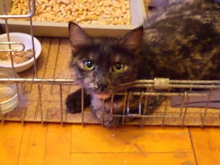 click for enlarge 604 X 453 48.6 Kb picture