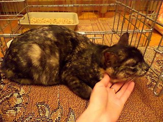 click for enlarge 604 X 453 86.1 Kb picture