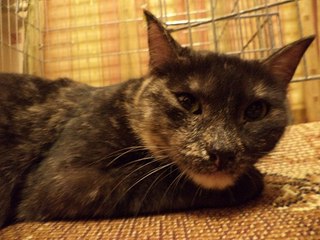 click for enlarge 604 X 453 55.3 Kb picture