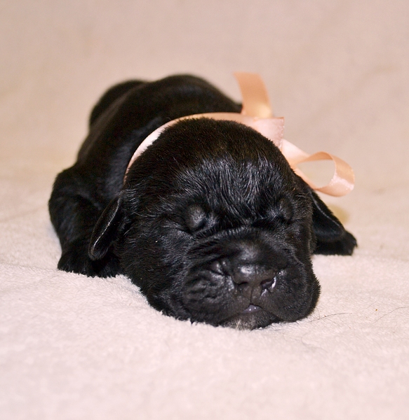 click for enlarge 1920 X 1975 162.6 Kb picture