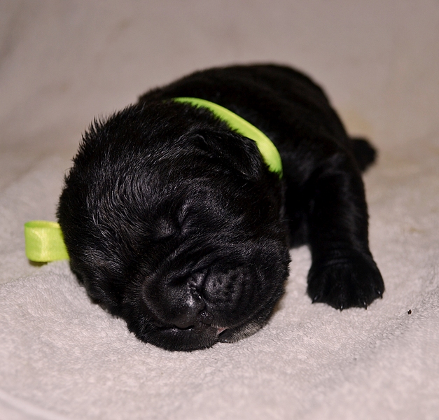 click for enlarge 1920 X 1836 176.7 Kb picture