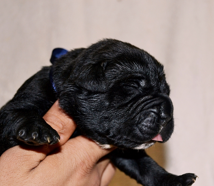 click for enlarge 1920 X 1666 189.9 Kb picture