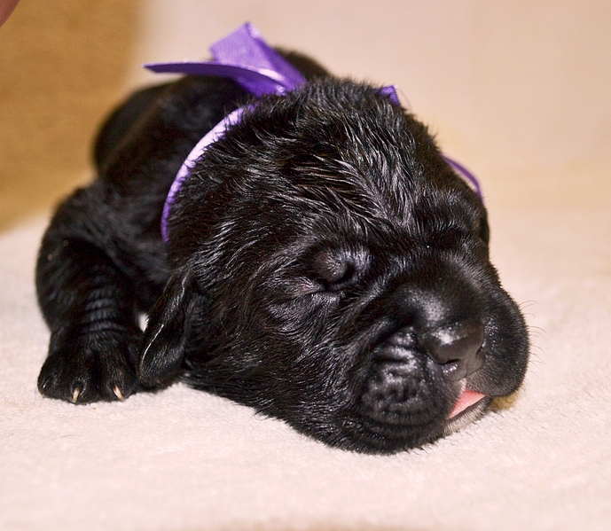 click for enlarge 1920 X 1670 223.3 Kb picture