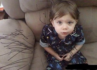 click for enlarge 450 X 327 20.9 Kb picture