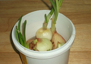 click for enlarge 1920 X 1348 121.7 Kb picture