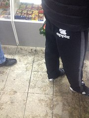 click for enlarge 453 X 604 56.6 Kb picture