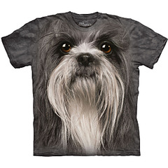 click for enlarge 1200 X 1200 232.0 Kb picture