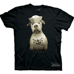 click for enlarge 900 X 900 104.9 Kb picture