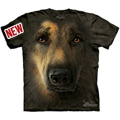 click for enlarge 900 X 900 196.2 Kb picture