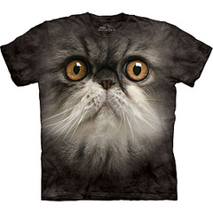 click for enlarge 1200 X 1200 196.3 Kb picture