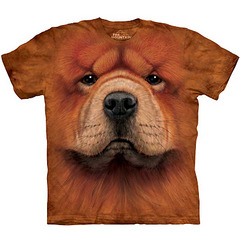 click for enlarge 806 X 806 110.8 Kb picture