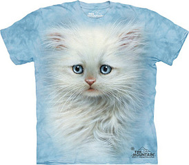 click for enlarge 750 X 655  91.2 Kb picture