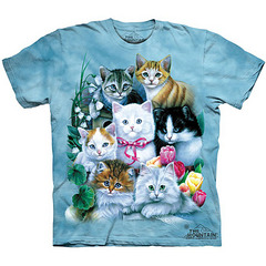 click for enlarge 850 X 850 143.2 Kb picture