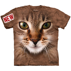 click for enlarge 900 X 900 205.6 Kb picture