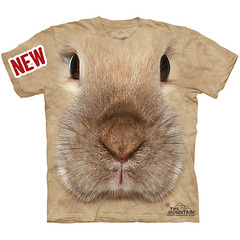 click for enlarge 900 X 900 207.6 Kb picture