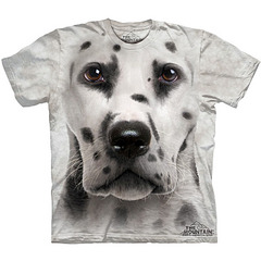 click for enlarge 755 X 755  87.3 Kb picture