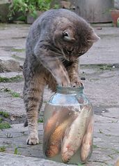 click for enlarge 573 X 800  69.7 Kb picture