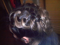 click for enlarge 1024 X 768 246.8 Kb picture