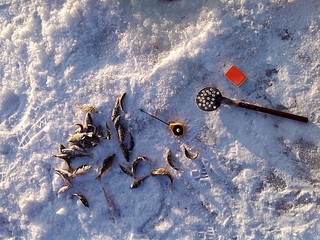 click for enlarge 1920 X 1440 884.1 Kb picture