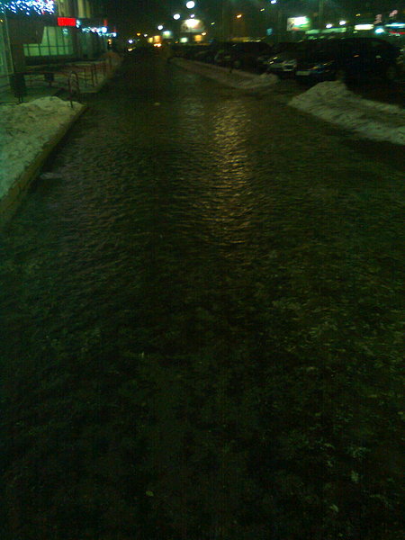 click for enlarge 1200 X 1600 338.2 Kb picture