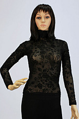 click for enlarge 669 X 1004 89.2 Kb picture