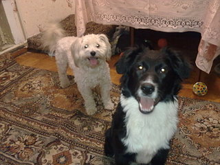 click for enlarge 1920 X 1440 393.4 Kb picture