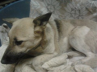 click for enlarge 807 X 605 72.1 Kb picture