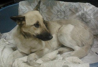 click for enlarge 807 X 549 69.5 Kb picture