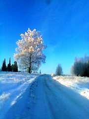 click for enlarge 480 X 640  49.2 Kb picture