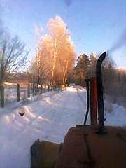 click for enlarge 240 X 320   9.2 Kb picture