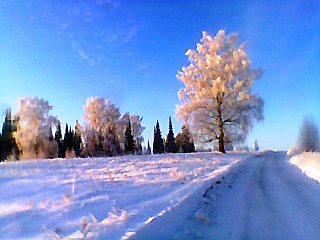 click for enlarge 640 X 480  56.0 Kb picture