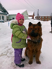 click for enlarge 1536 X 2048 677.5 Kb picture